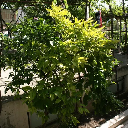 6844c Apartmán Makarská