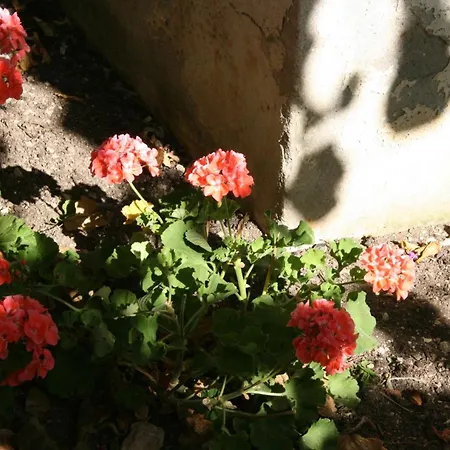 Apartmán 6844c *