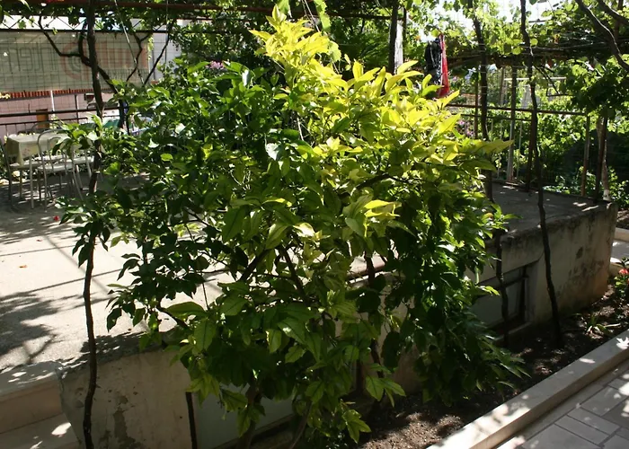 6844c Daire Makarska